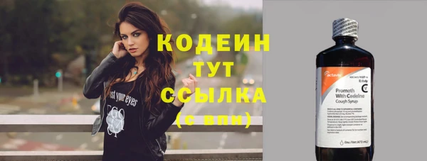 дурь Корсаков