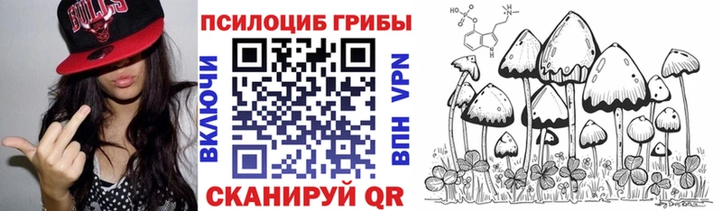 Псилоцибиновые грибы прущие грибы Шацк