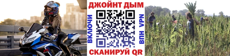Каннабис White Widow  площадка наркотические препараты  Шацк  наркотики 
